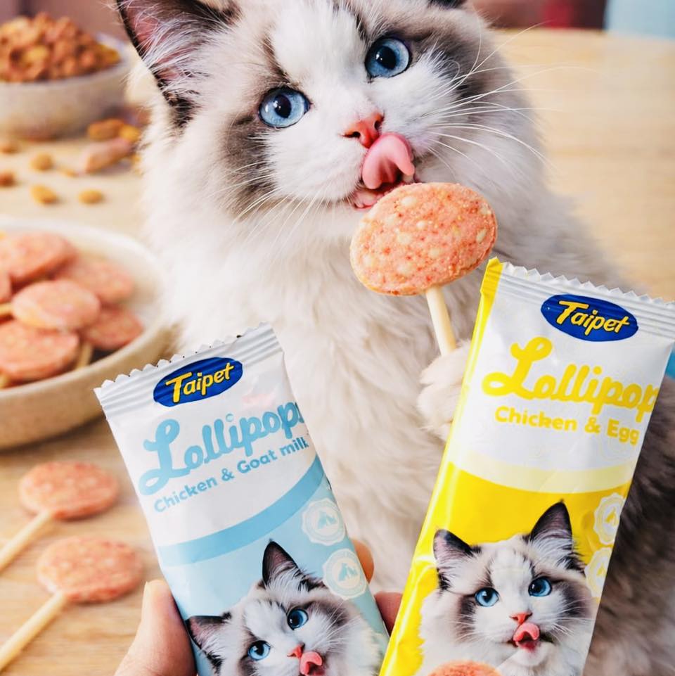 Cat Lollipop