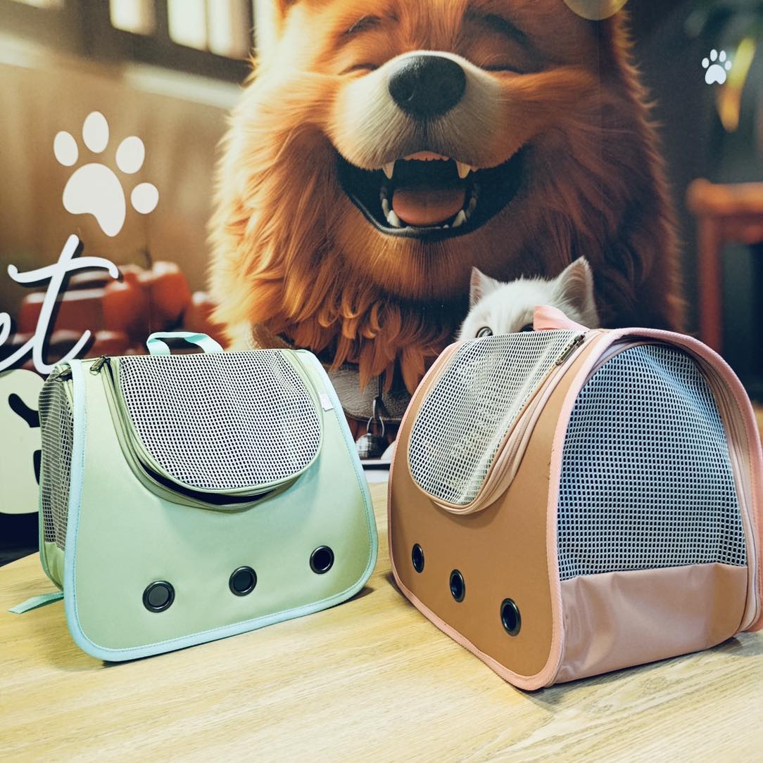 Kitten Carry Bag