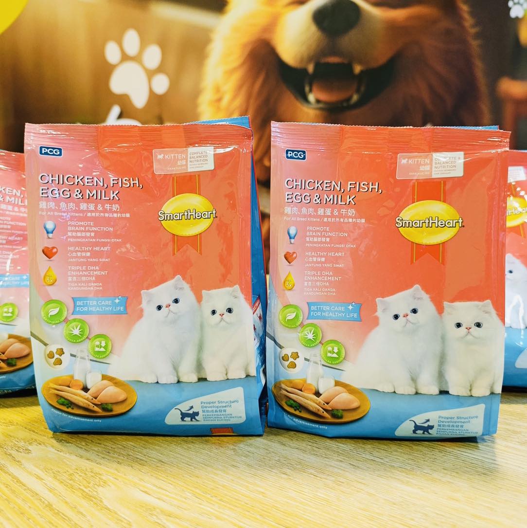Chicken Egg Fishh  Milk Kitten food