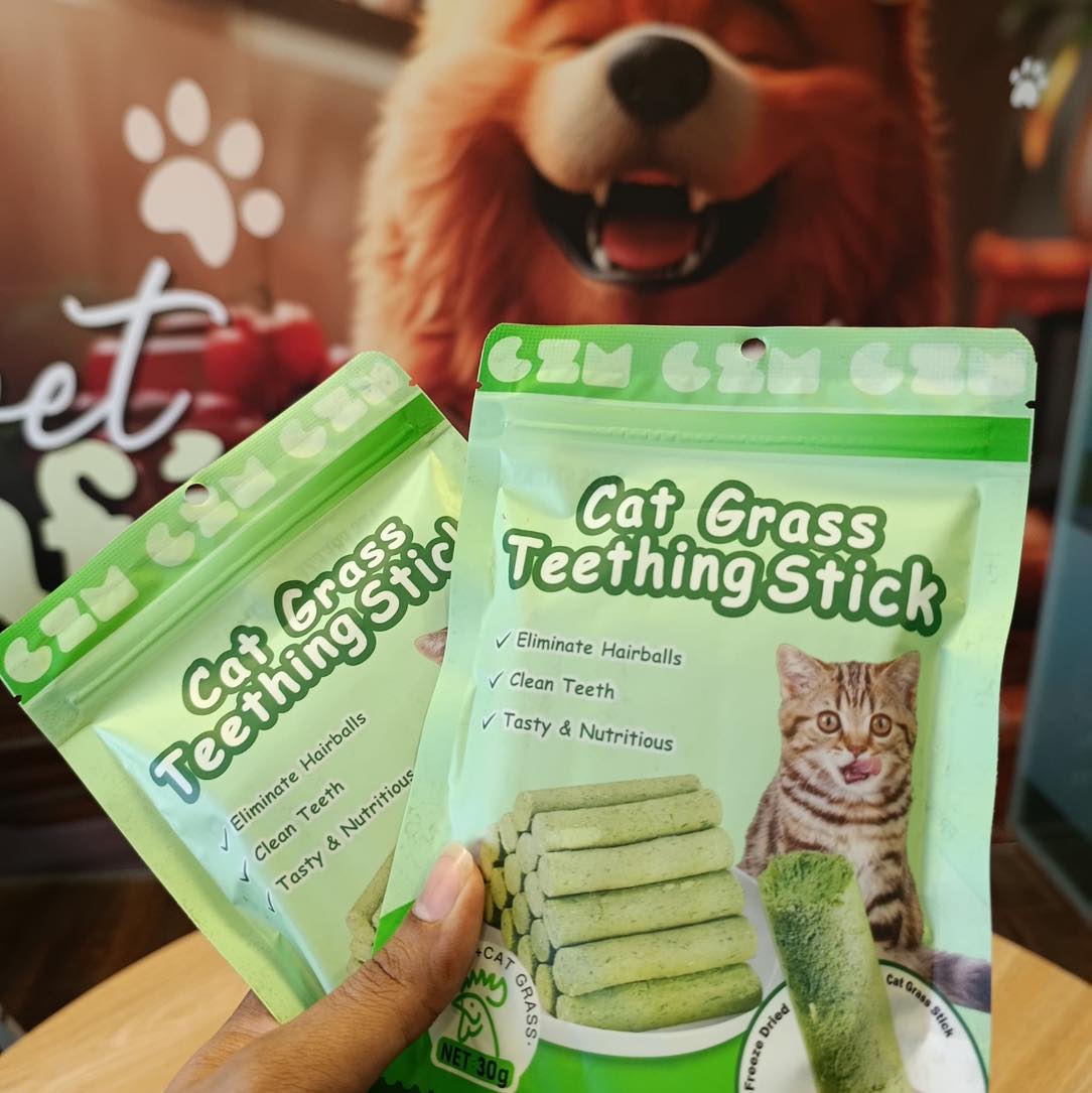 Cat Grass Teething  Stick